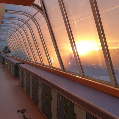 ASFA_RE's profile picture. The Academy of St Francis of Assisi's R.E  dept. Showcasing pupil's work and sharing good practice. 

'Don't just answer the questions, question the answers'.