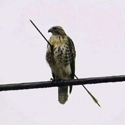 KAbderrafiq's profile picture. 