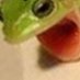 Frog. (@phrog_the_frog) Twitter profile photo Frog. (@phrog_the_frog) Twitter profile photo