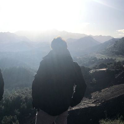 N644646's profile picture. 