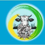 JAFEAS.Com (@jafeas2) 's Twitter Profile Photo