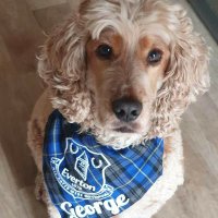 Jayne 💙🐾🐶🐕🐾💙(@jaynetoffee) 's Twitter Profileg