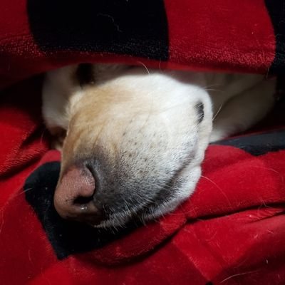 HaleySkeide's profile picture. 