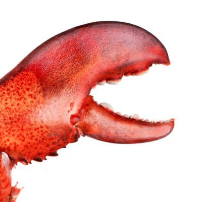 lobsterinvest