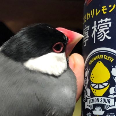 じん。さんのプロフィール画像