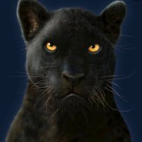 South Tampa Panthers Softball (@pantherstampa) 's Twitter Profile Photo South Tampa Panthers Softball (@pantherstampa) 's Twitter Profile Photo