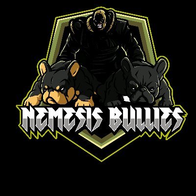 Discord-unek55#2488
Nemesis Bullies
French Bulldog Breeder/Sneaker Collecter