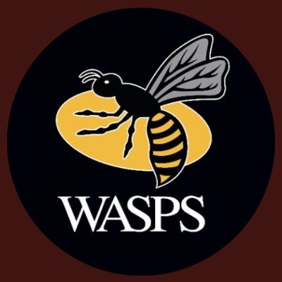 MASSIVE Wasps fan, what more is there to say.