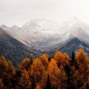 @DanielleWilke - @DanielleWilke3 - Twitter