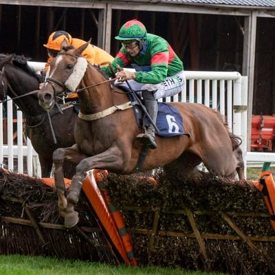 Horse racing enthusiast. Part of a new podcast @tailedoffpod 🏇