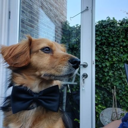 arjoo1's profile picture. i am back