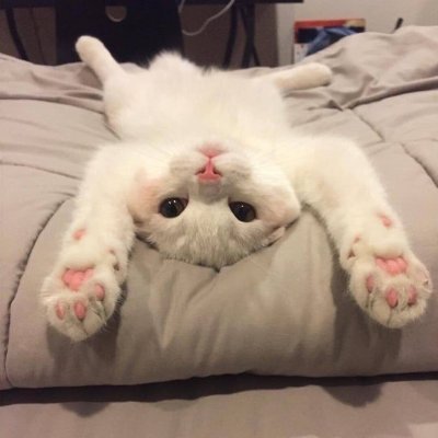 user_bilmemne24's profile picture. senin*_*belan