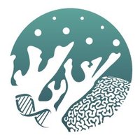 coraliumlab (@coraliumlab) 's Twitter Profile