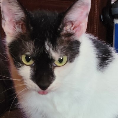 Noli_420's profile picture. 