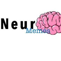 NeuroMemes(@NeuroMemes) 's Twitter Profile Photo