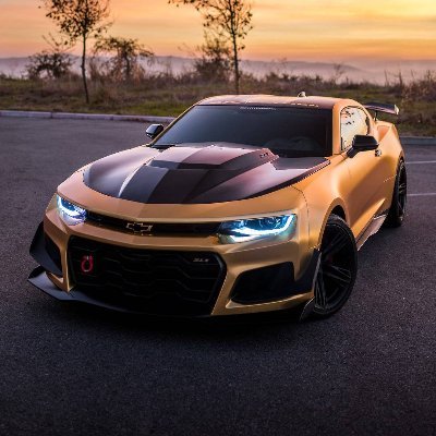 B1scuite's profile picture. Biscuite