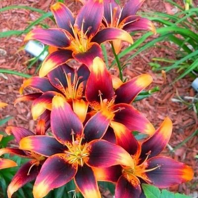 Steph82829430's profile picture. 