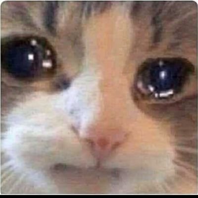 shadeersosoo's profile picture. 