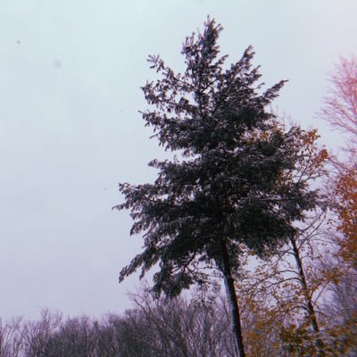 inspotweets2's profile picture. follow for inspiration!