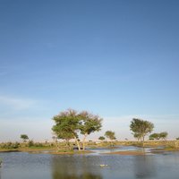 🌧️غيمة ممطرة🌧️ (@t45t23) 's Twitter Profile