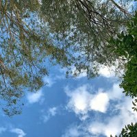 sounds (@driveyourplow) 's Twitter Profile