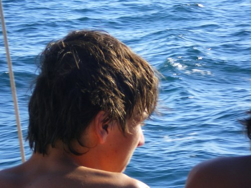 PedroMateos1's profile picture. 