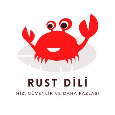 Rust Programlama Dili