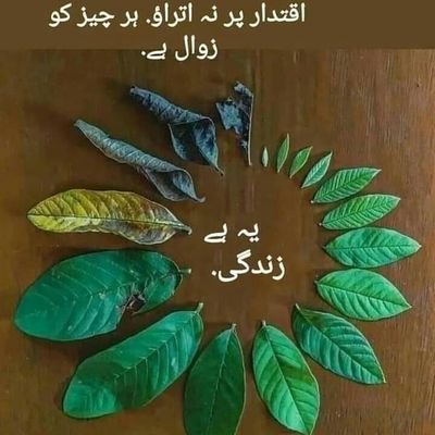 Abdukhaliqbalo1's profile picture. سبحاناللہ