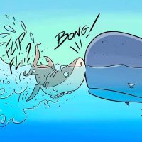 olivier bauza (@olivierbauza) 's Twitter Profile