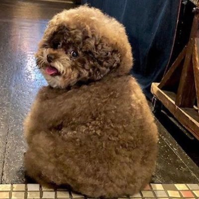 lenistateczny's profile picture. 