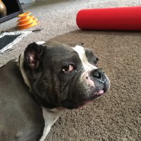 ThoughtsByThoughtsWes (@weslielechner) 's Twitter Profile