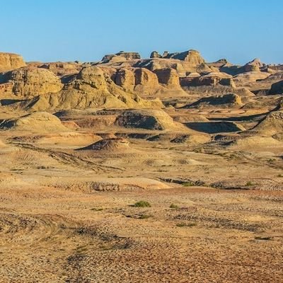 SalafiManhajj's profile picture. 