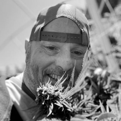 RomeyYour's profile picture. Cannabinoid Hunter|Broker|Consultant