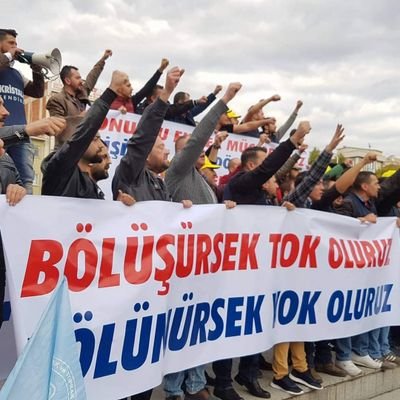 Mustafa51519429's profile picture. 