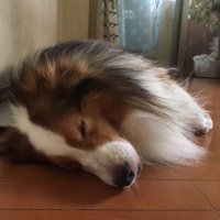 JIRO (@hirof0901) 's Twitter Profile
