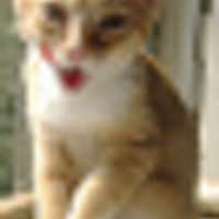 Martin Kiklhorn @martin@kiklhorn.cz (@kiklhorn) 's Twitter Profile Photo Martin Kiklhorn @martin@kiklhorn.cz (@kiklhorn) 's Twitter Profile Photo