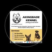 Akingbadekennel(@Akingbadekennel) 's Twitter Profile Photo