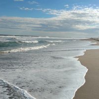 Rodrigo Alejandro (@rodrigoalecg) 's Twitter Profile