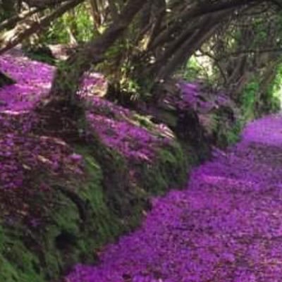 lovatt_maria's profile picture. 