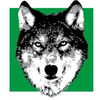 WolvesAndFinance(@FinanceWolves) 's Twitter Profile Photo