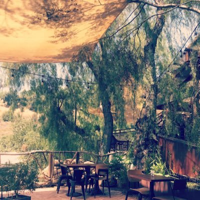 dscozzesi's profile picture. 