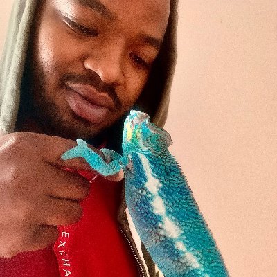 Reptile Hobbyist & Panther Chameleon Breeders
Entrepreneur from Phoenix Arizona
https://t.co/VKqckoFQIc