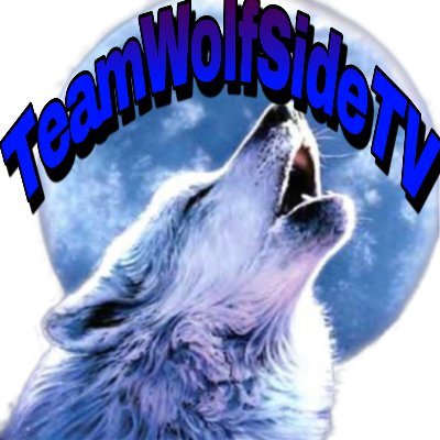 WE Are a Team that does many different projects
We also the management team of 
  @WolfSideTv https://t.co/GJfU5pomvh partnered With #TeamGodvek