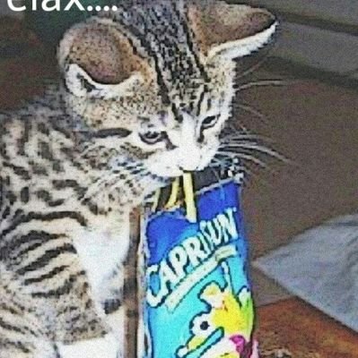 OwOuUwUOwU's profile picture. Sav (20)
He/Him They/Them