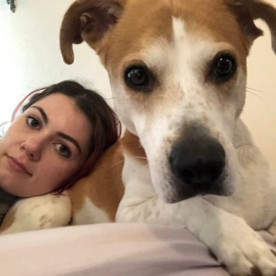 obioannoukenobi's profile picture. i love mess