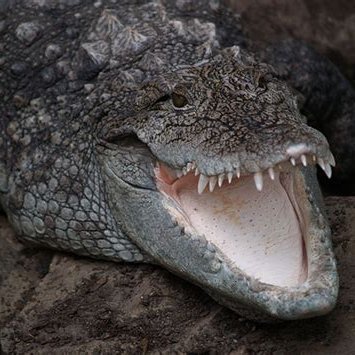 mugger124's profile picture. I've decided to identify with communism, because I'll get a free pass