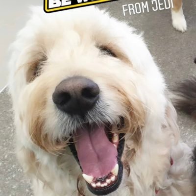 SuzyQsi's profile picture. A South Australian – on Kaurna land.