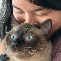 Jeena (@thejeenalee) 's Twitter Profile Photo Jeena (@thejeenalee) 's Twitter Profile Photo