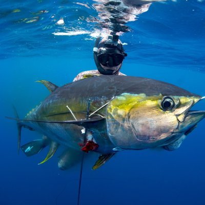 eddiesa94009347's profile picture. 