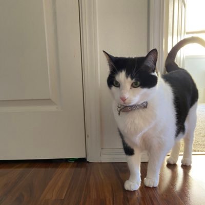 blur_lafluer's profile picture. 